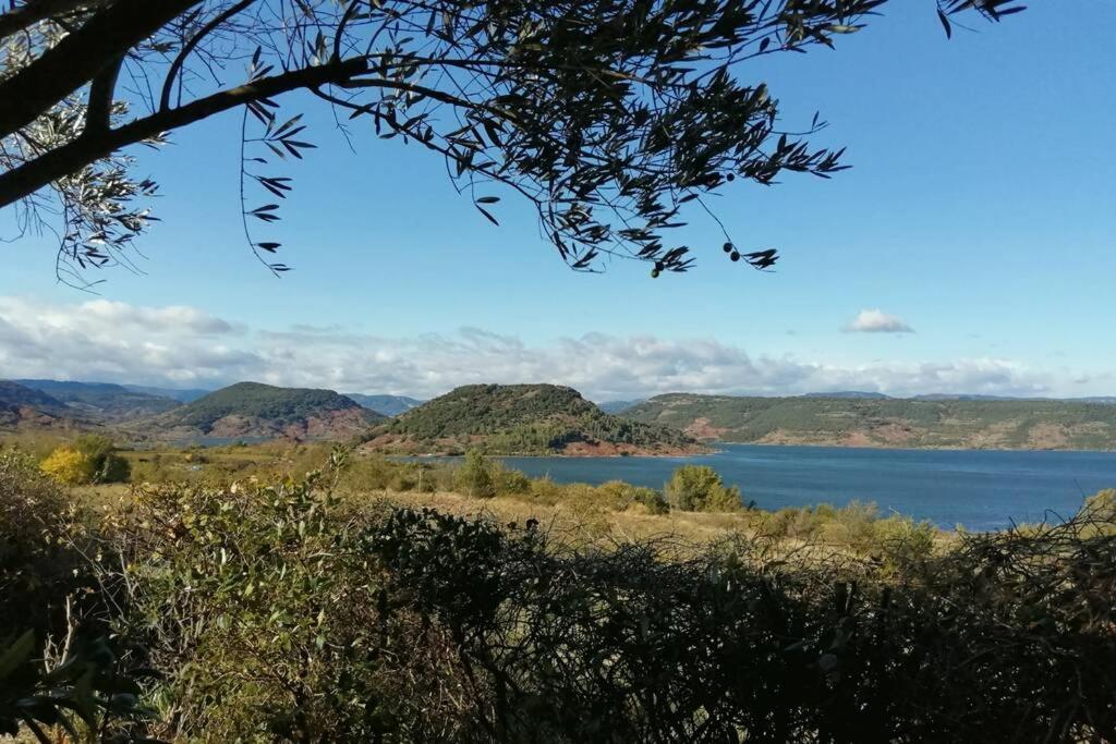 Studio 32M2 - Dans Propriete Avec Vue Imprenable Sur Le Lac Du Salagou Liausson Dış mekan fotoğraf