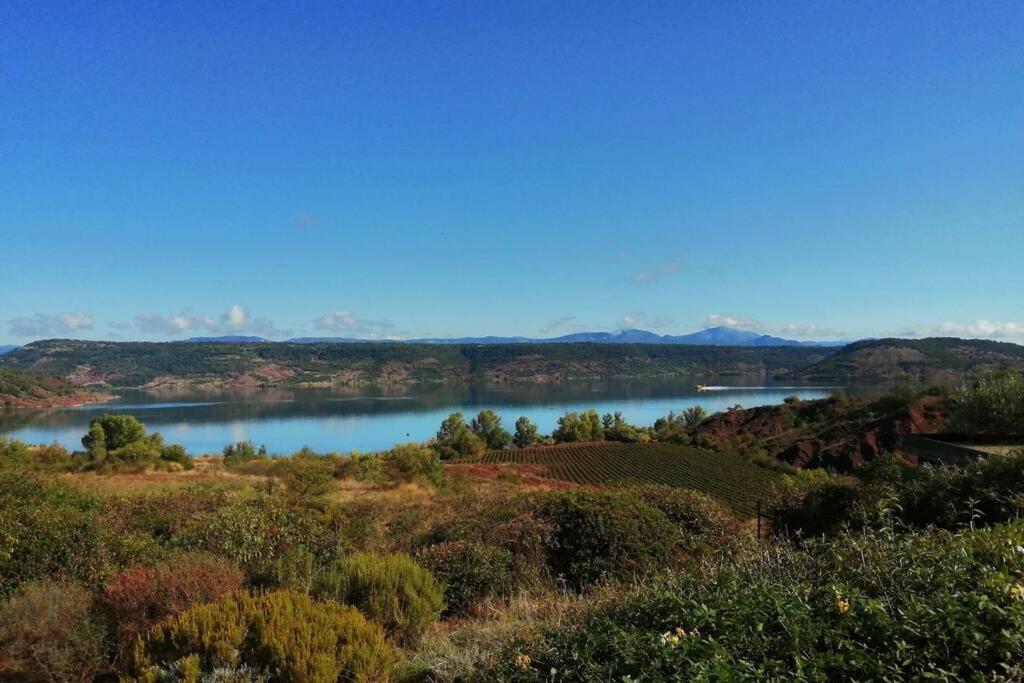 Studio 32M2 - Dans Propriete Avec Vue Imprenable Sur Le Lac Du Salagou Liausson Dış mekan fotoğraf